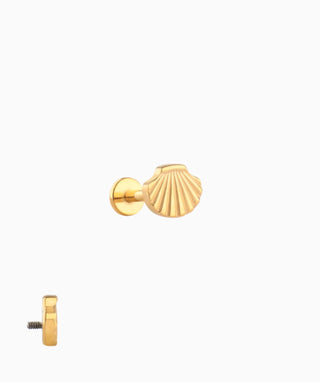 Titanium Shell Flatback Stud - OumoJewelry