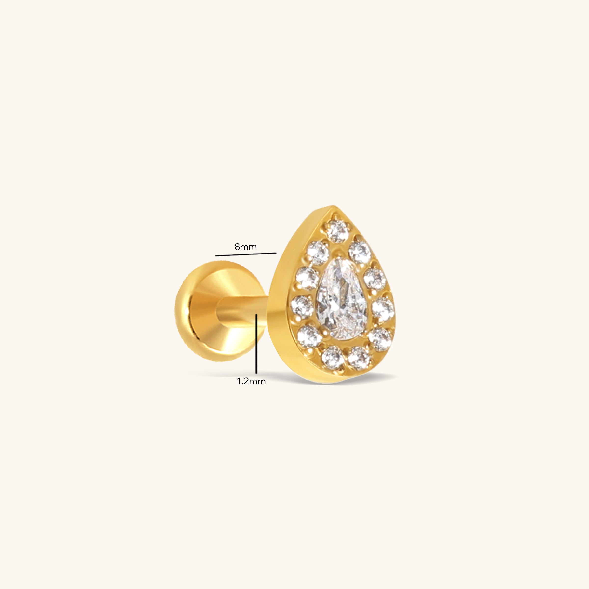 Titanium Noemi Teardrop Stud