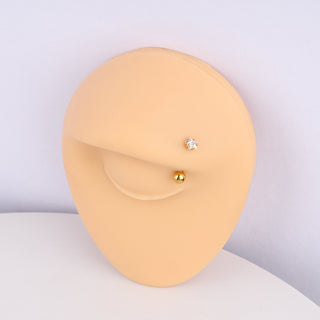 Shining Star Curved Barbell - OhmoJewelry