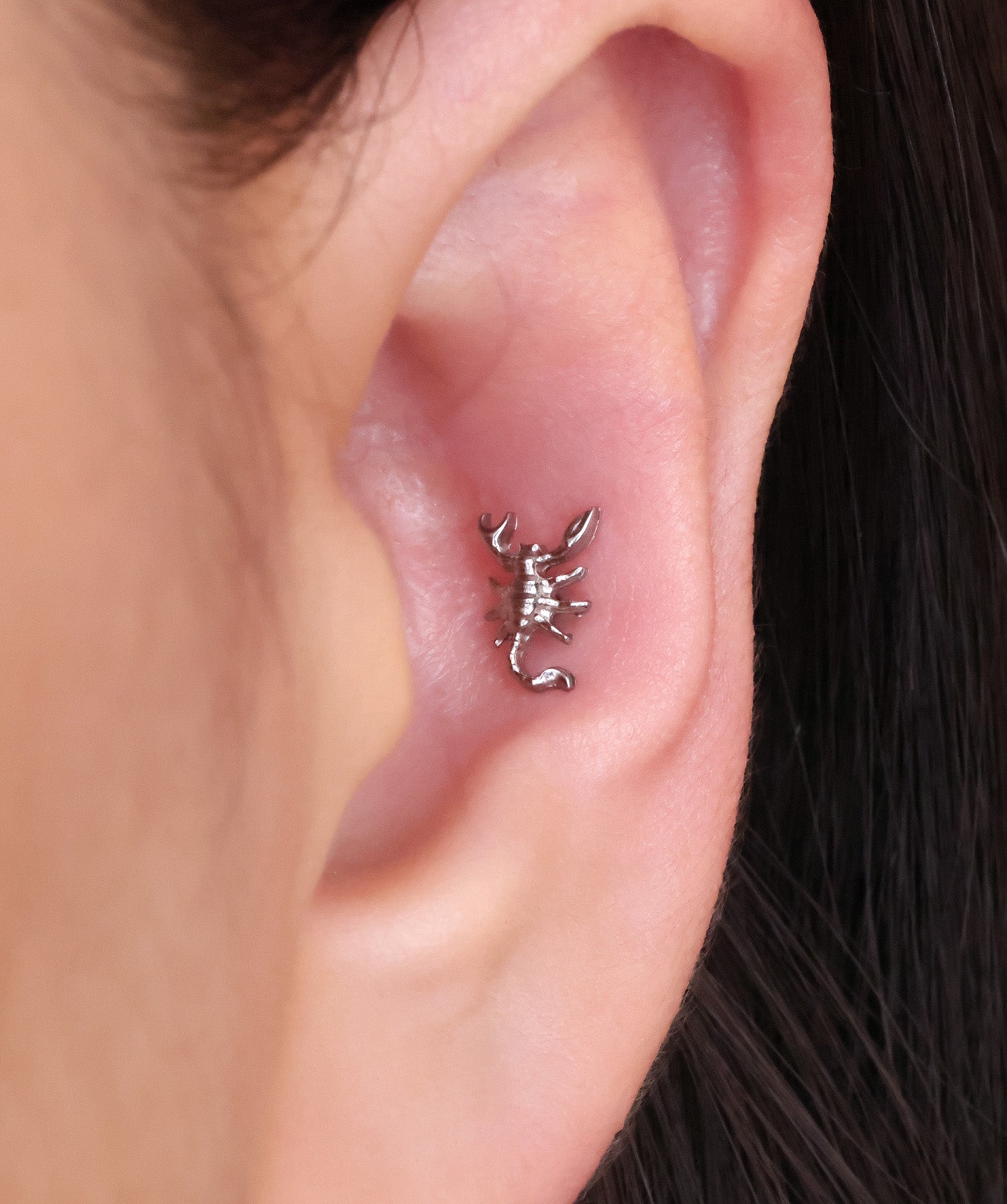 Titanium Scorpion Flatback Stud - OumoJewelry