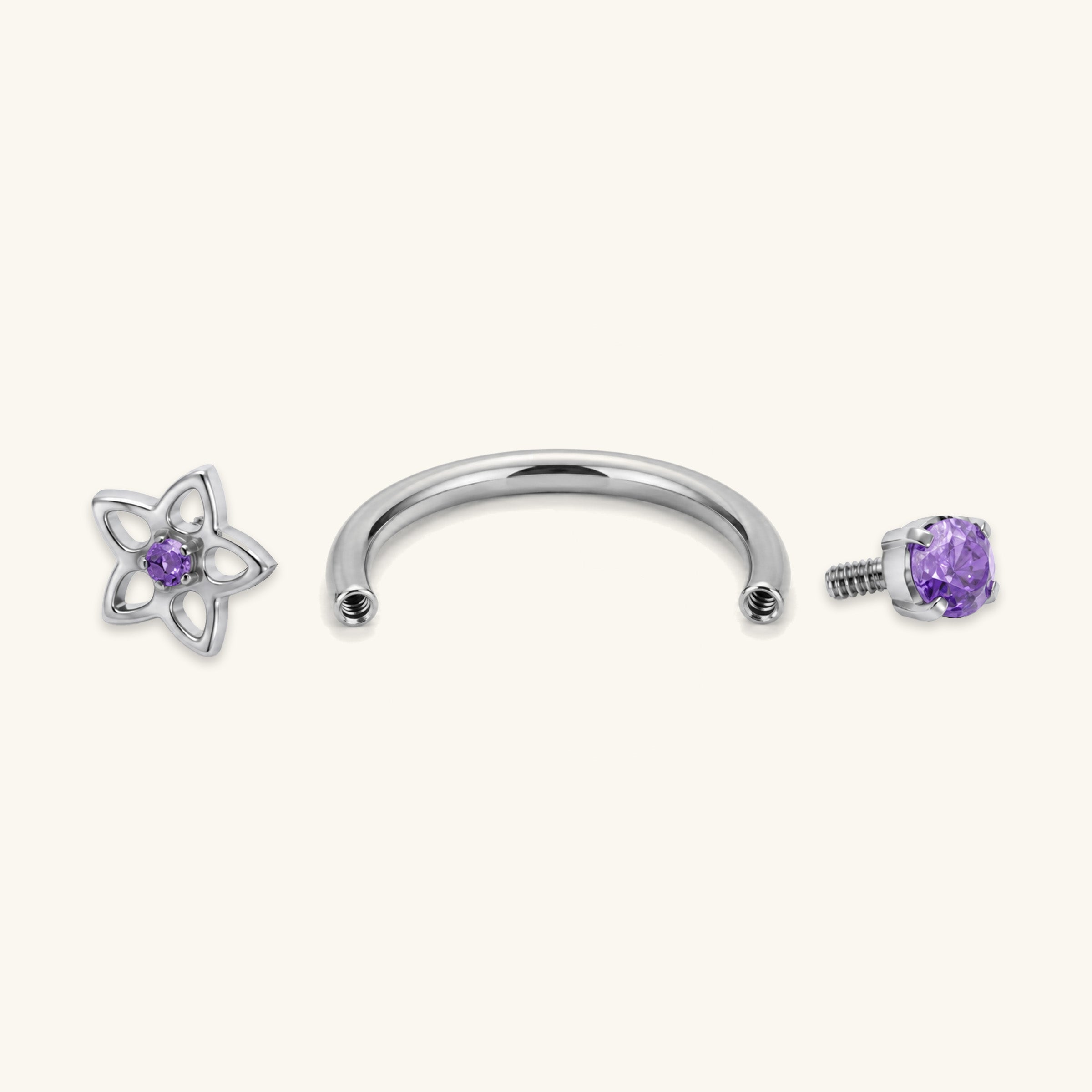 Titanium Reina Horseshoe Ring