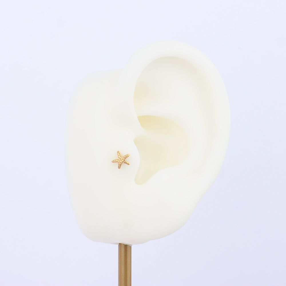 Titanium Starfish Flatback Stud - Titanium - Helix, Forward Helix, Upper Lobe - Oumo Jewelry