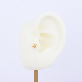 Titanium Starfish Stud - OhmoJewelry