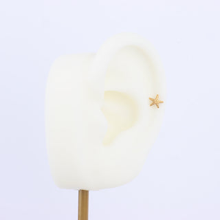 Titanium Starfish Stud - OhmoJewelry