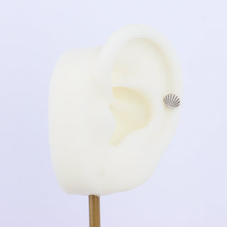Titanium Shell Stud - OhmoJewelry