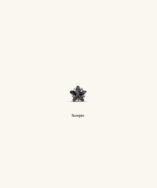 Titanium Zodiac Stars Stud