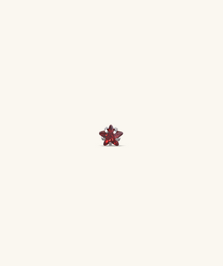 Titanium Zodiac Stars Stud - OumoJewelry