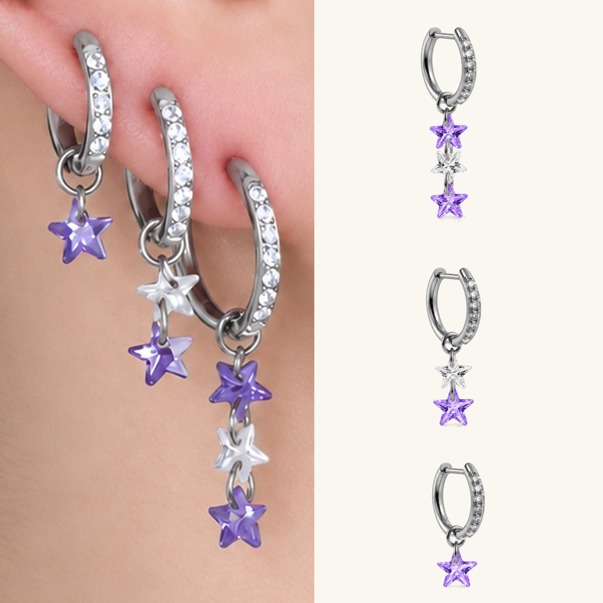 Titanium Delphine Hoop Set