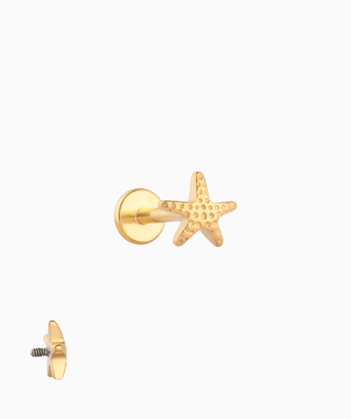 Titanium Starfish Flatback Stud - Titanium - Helix, Forward Helix, Upper Lobe - Oumo Jewelry