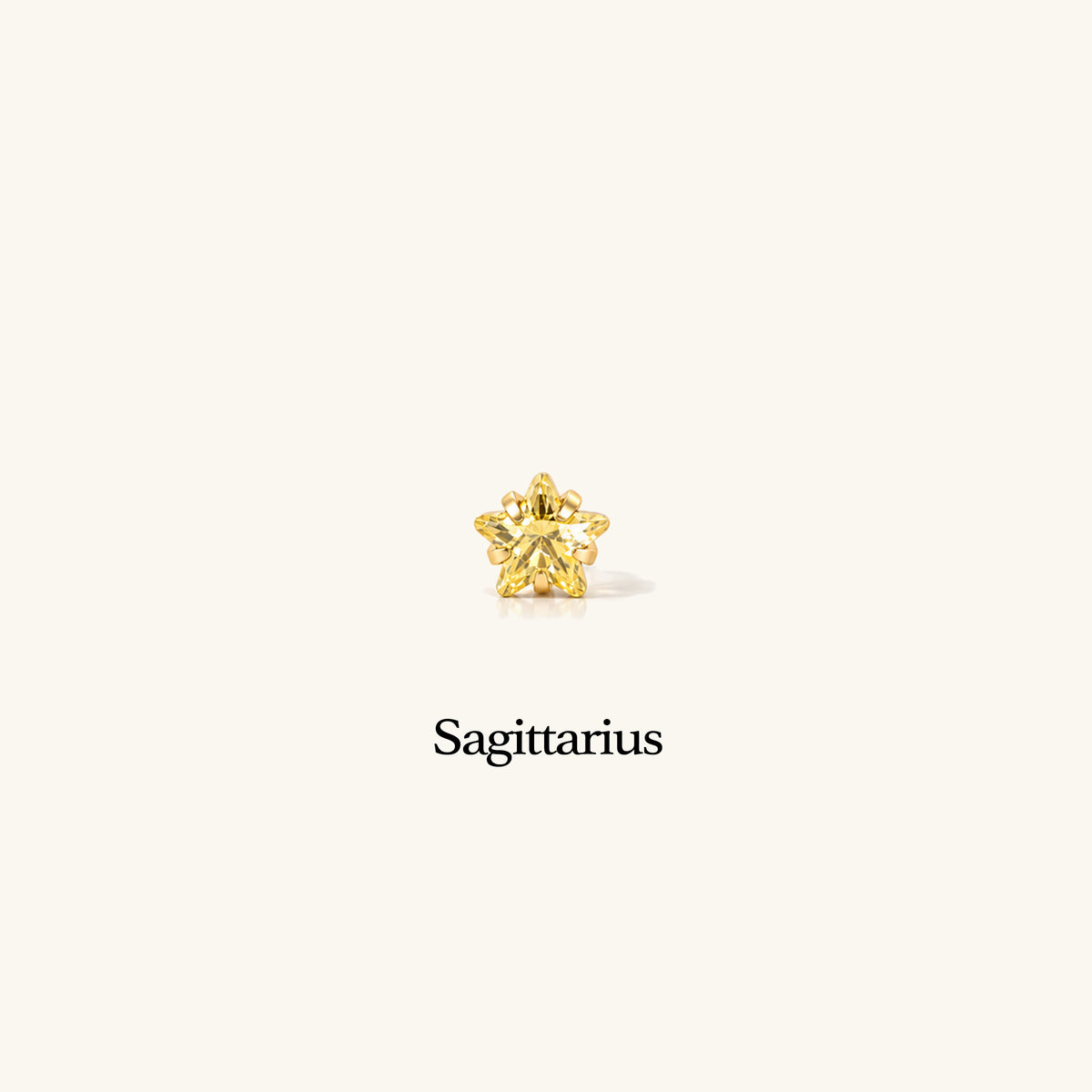 Titanium Zodiac Stars Stud