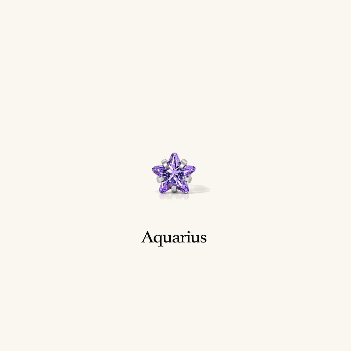 Titanium Zodiac Stars Stud