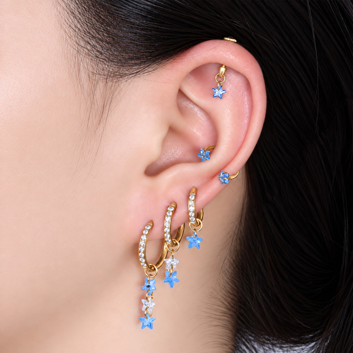 Titanium Delphine Hoop Set