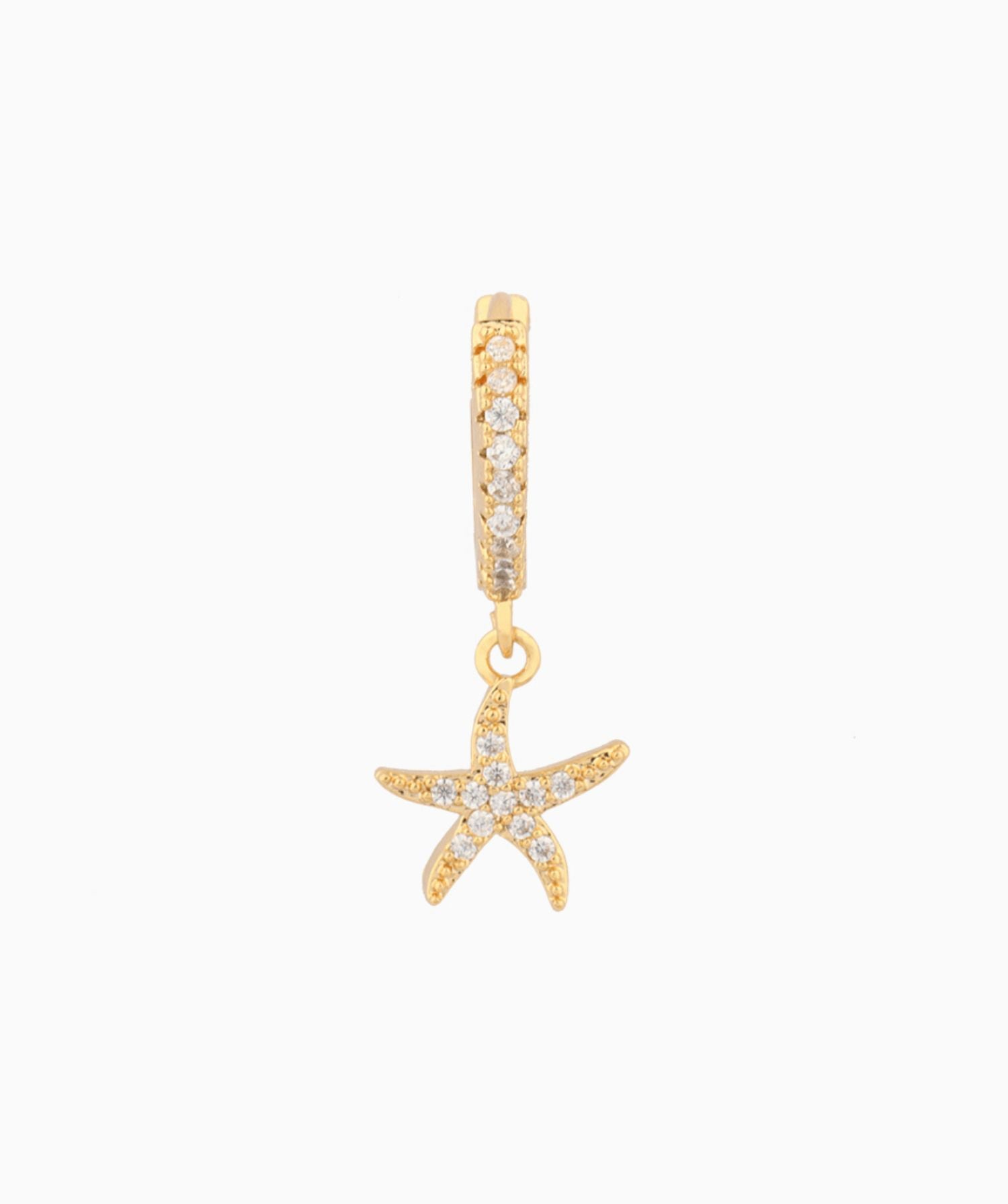 Dazzling Starfish