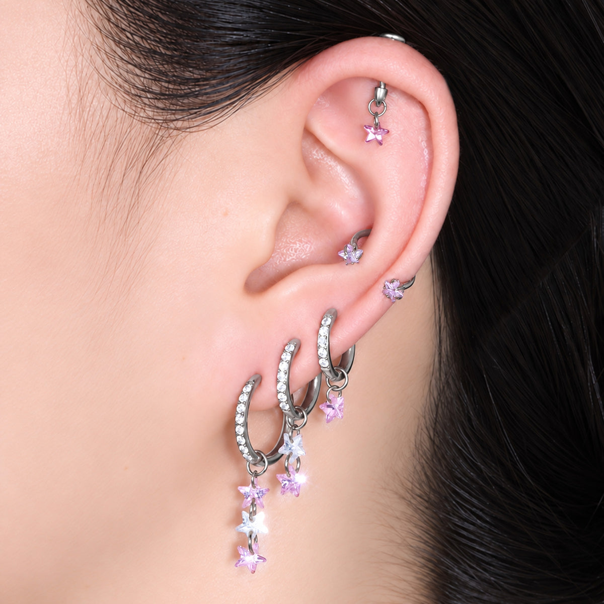 Titanium Delphine Hoop Set