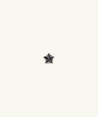 Titanium Zodiac Stars Stud - OumoJewelry