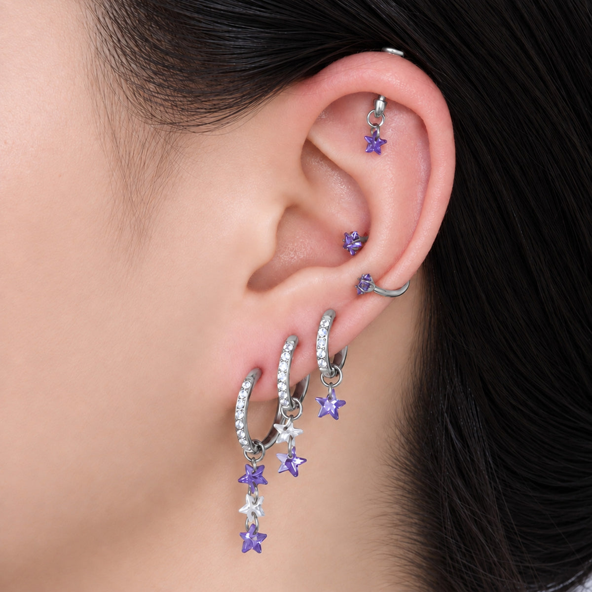 Titanium Delphine Hoop Set