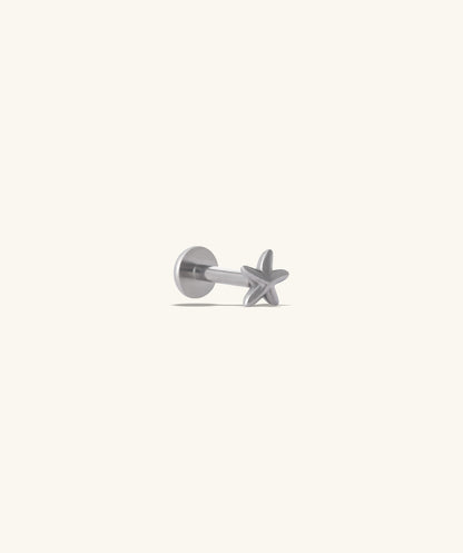 Titanium Starfish Stud