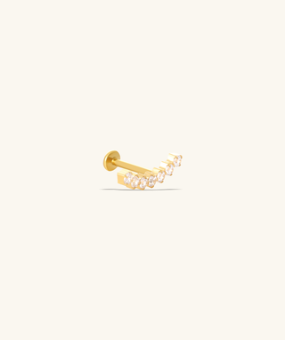 Titanium Gems Stud