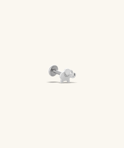 Titanium Elephant Flatback Stud - Titanium - Helix, Upper Lobe, Conch - Oumo Jewelry