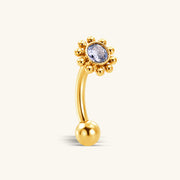 Titanium Sun Curved Barbell