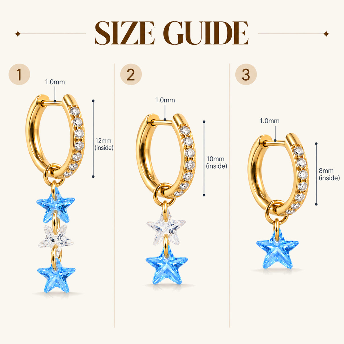Titanium Delphine Hoop Set