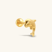 Titanium Threadless Dolphin Stud - Titanium - Helix, Upper Lobe, Conch - Oumo Jewelry