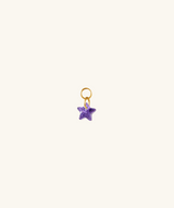 Star Charm Drop