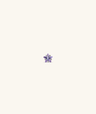 Titanium Zodiac Stars Stud - OumoJewelry