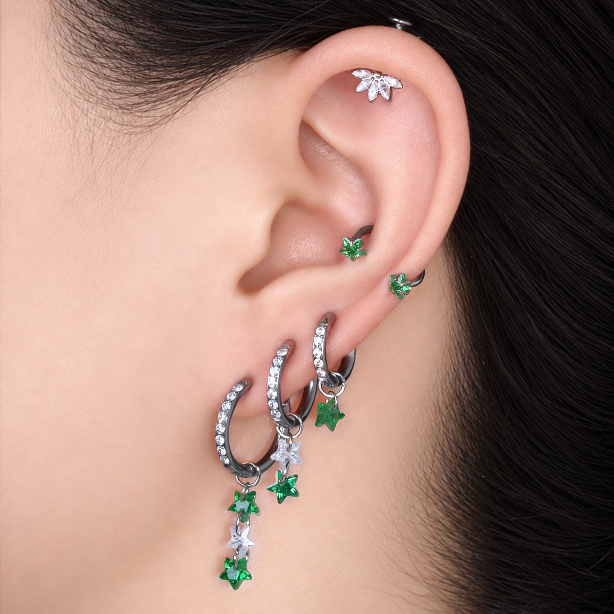 Titanium Delphine Hoop Set