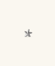 Titanium Starfish Stud - Titanium - Upper Lobe, Helix, Flat - Oumo Jewelry