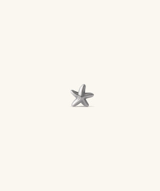 Titanium Starfish Stud - OumoJewelry