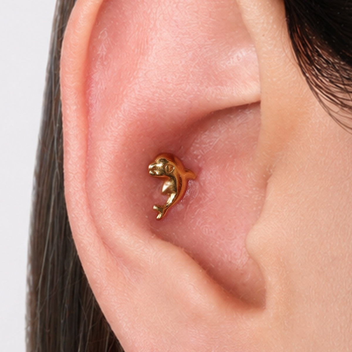 Titanium Threadless Dolphin Stud - Titanium - Helix, Upper Lobe, Conch - Oumo Jewelry