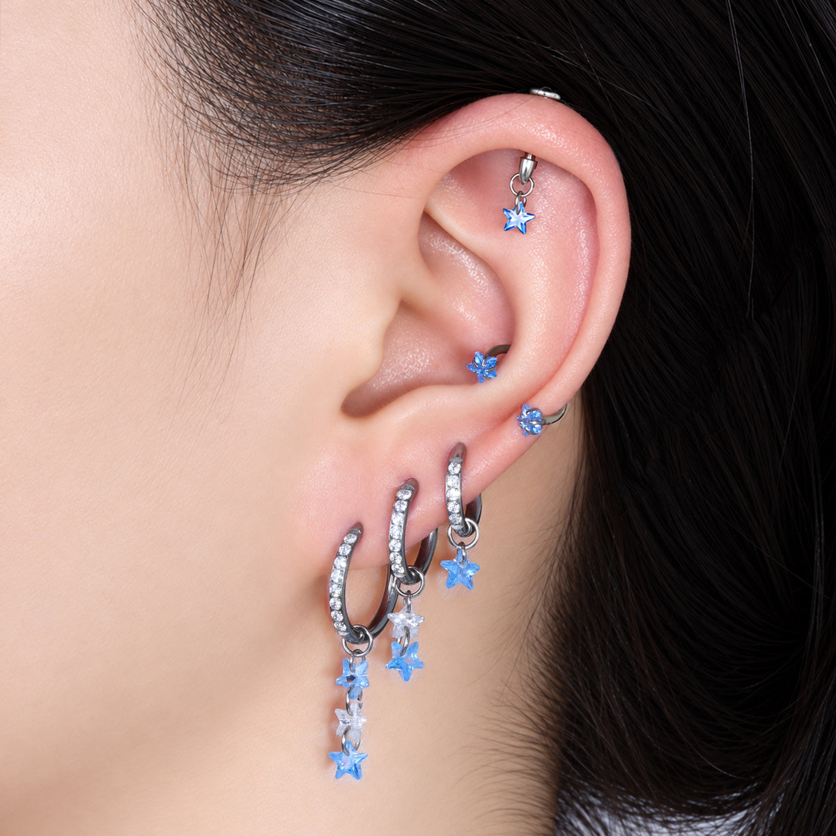 Titanium Delphine Hoop Set