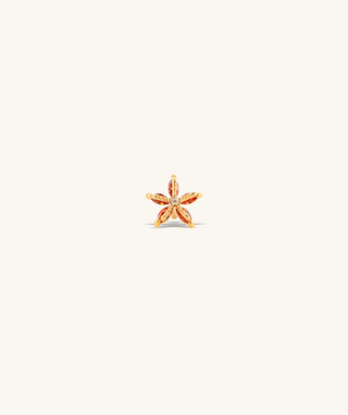 Starfish Stud - OumoJewelry