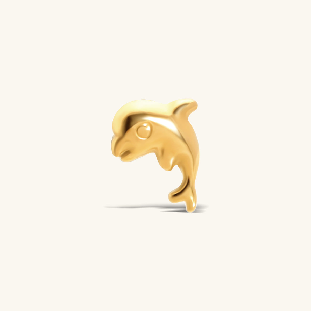 Titanium Threadless Dolphin Stud - Titanium - Helix, Upper Lobe, Conch - Oumo Jewelry