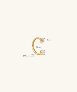 Titanium Gems Horseshoe Ring