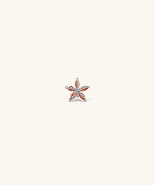 Starfish Stud - OumoJewelry