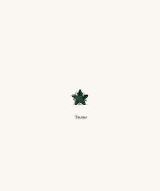 Titanium Zodiac Stars Stud