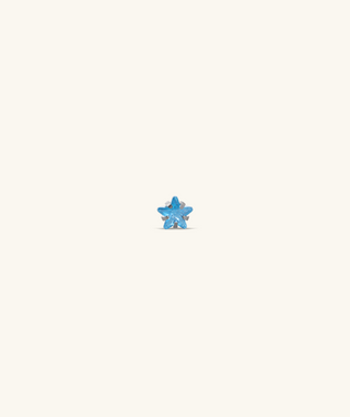Titanium Zodiac Stars Stud - OumoJewelry