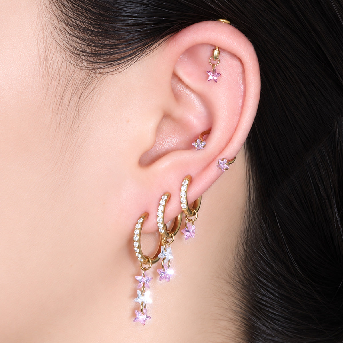 Titanium Delphine Hoop Set