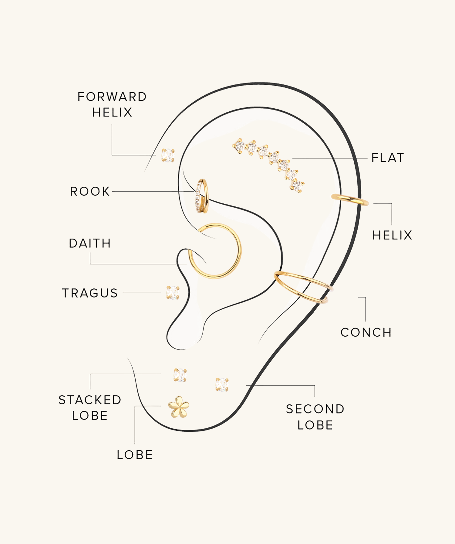 Ear piercing map
