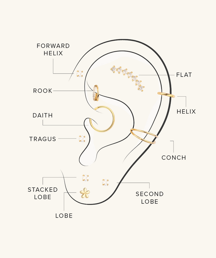 Ear piercing map
