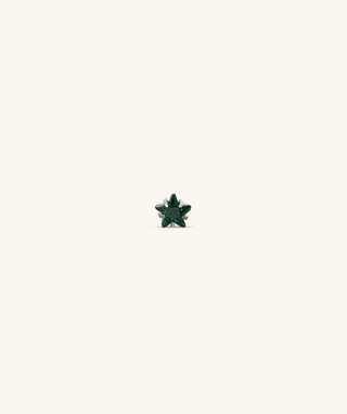 Titanium Zodiac Stars Stud - OumoJewelry
