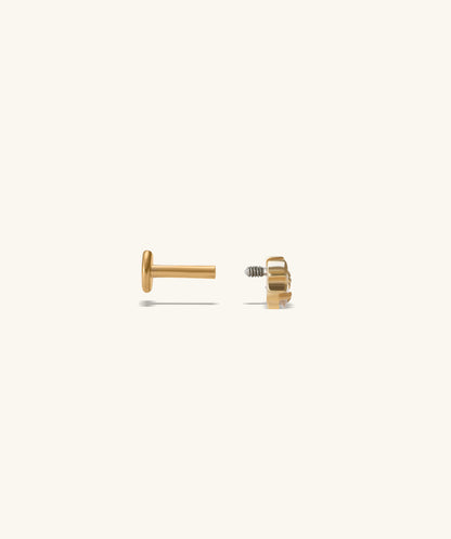 Titanium Petite Star Flatback Stud