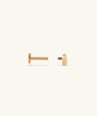 Titanium Stellar Stud - OumoJewelry