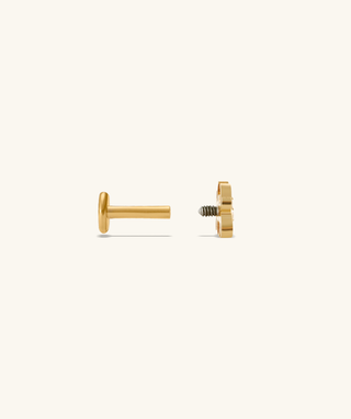 Titanium Spider Stud - OumoJewelry