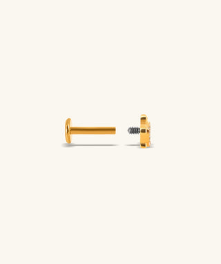 Sea Turtle Stud - OumoJewelry