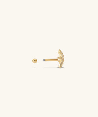 Playful Starfish Stud - OumoJewelry