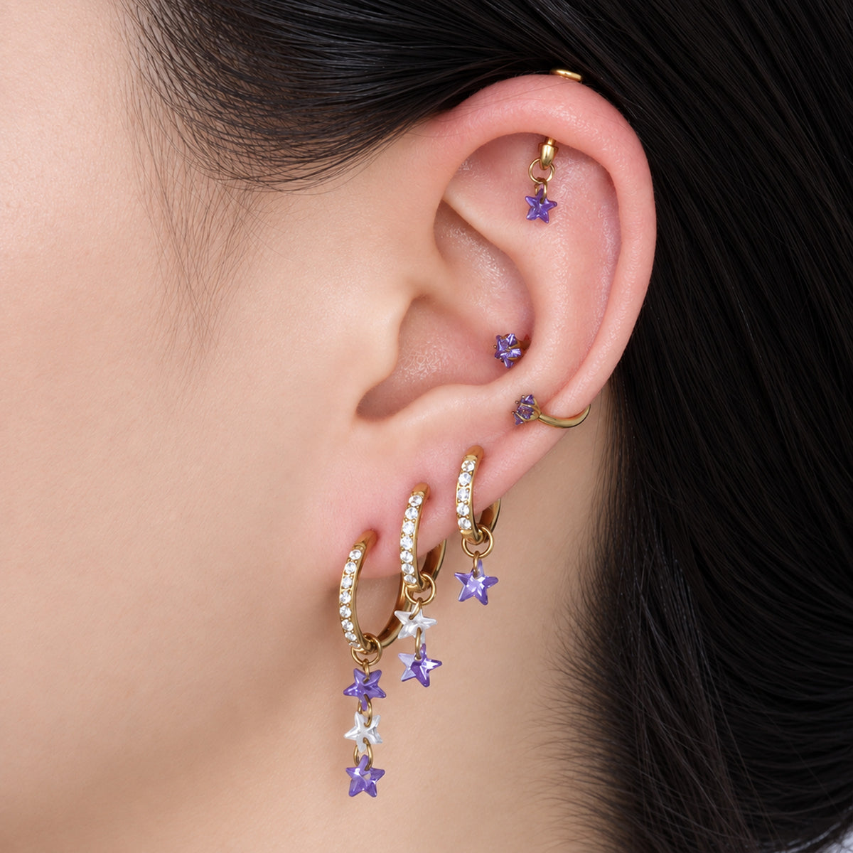 Titanium Delphine Hoop Set