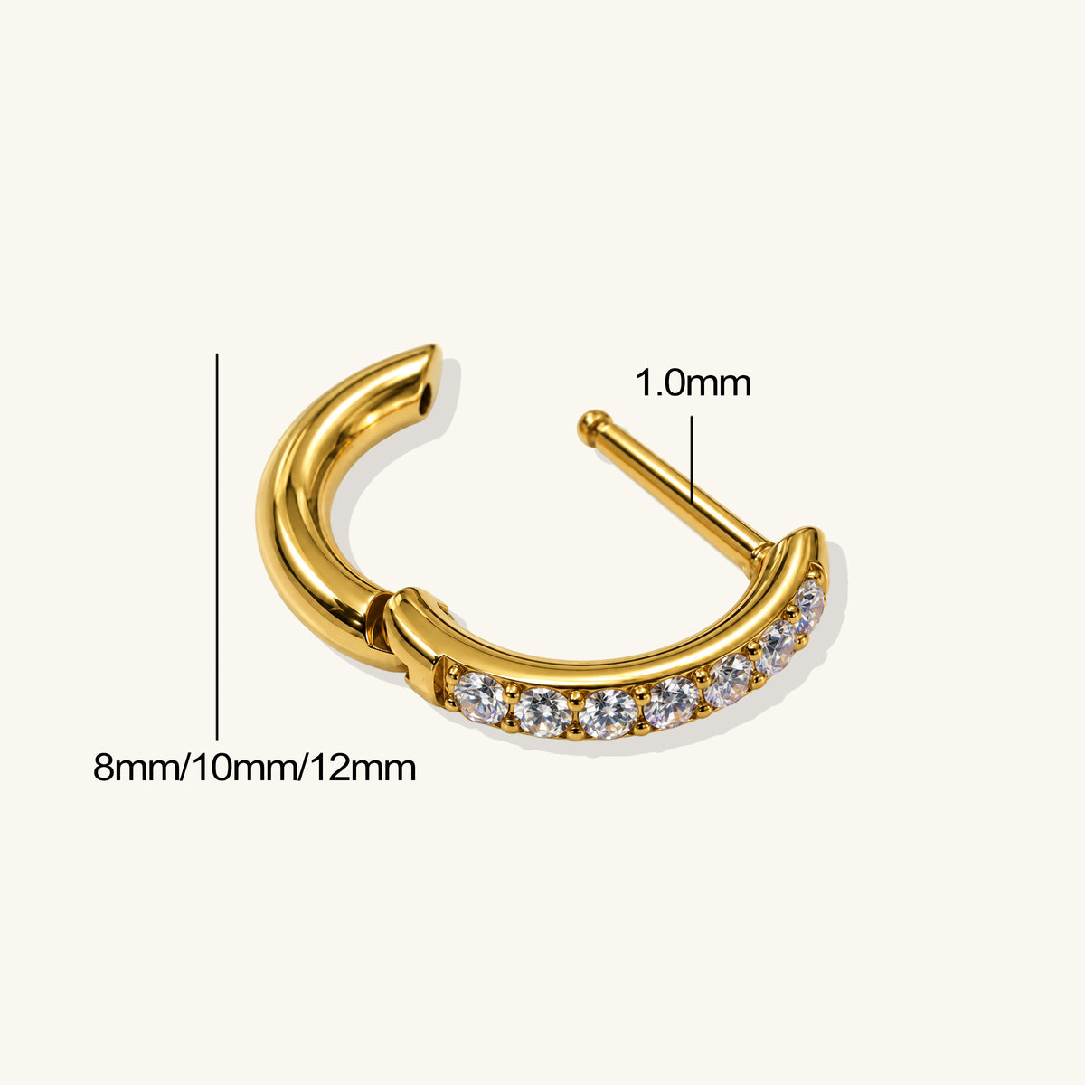 Titanium Darya Hoop